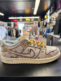 Nike Dunk SB city of style DS
